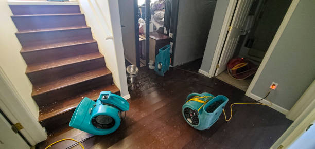 Best Commercial water damage restoration  in Woodside, CA