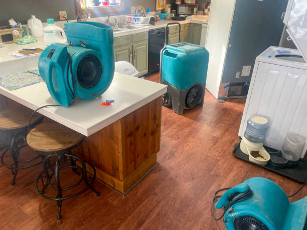  Woodside, CA Water damage restoration Pros