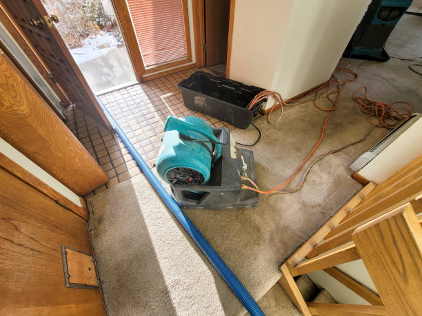 Best Water damage repair service  in Woodside, CA