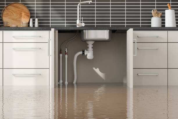 Best Water damage restoration near me  in Woodside, CA