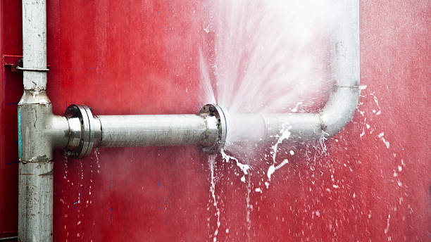 Best 24/7 water damage repair  in Woodside, CA