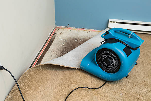Best Flood damage cleanup  in Woodside, CA